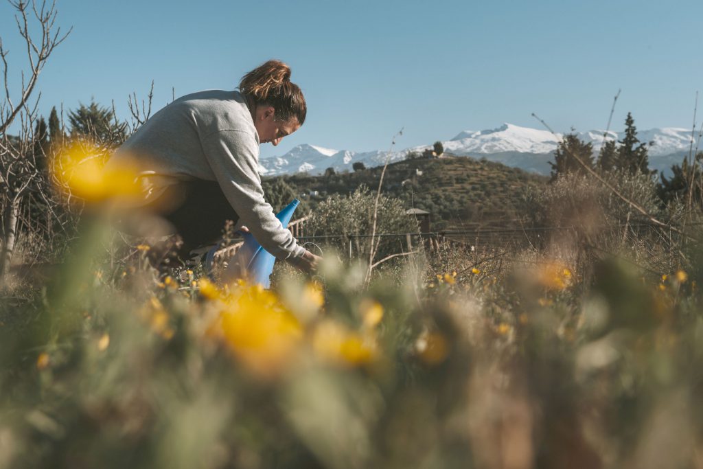 LEADER en el Arco Noreste de la Vega de Granada aporta más de 2,7 millones de euros para impulsar 64 proyectos Asociación para el Desarrollo Rural de Andalucía alfanevada