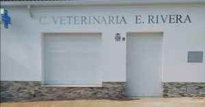 86317159 101255388134824 753639453322379264 o