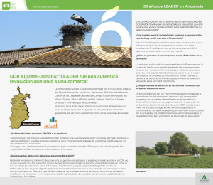 PLANTILLA ALJARAFE2021