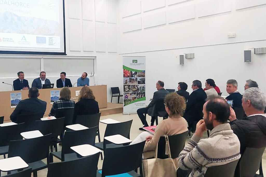 WhatsApp Image 2023 02 16 at 13.14