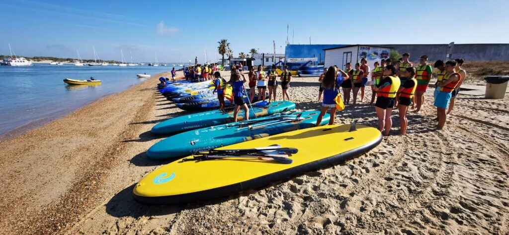 c5fd5314 7066 4c65 9fe3 8b49d22c8cfd