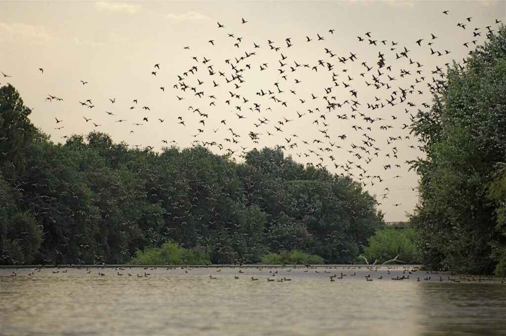 Ruta Guadalquivir 0038