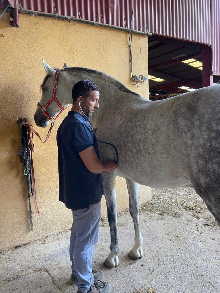 Al rescate de una profesión en peligro de extinción en la Sierra de Aracena y Picos de Aroche Asociación para el Desarrollo Rural de Andalucía 2