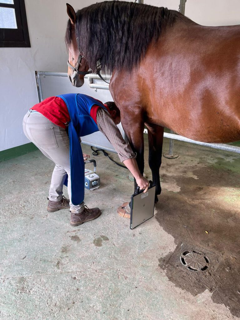 Al rescate de una profesión en peligro de extinción en la Sierra de Aracena y Picos de Aroche Asociación para el Desarrollo Rural de Andalucía WhatsApp Image 2024 09 13 at 12.19.10 2 1
