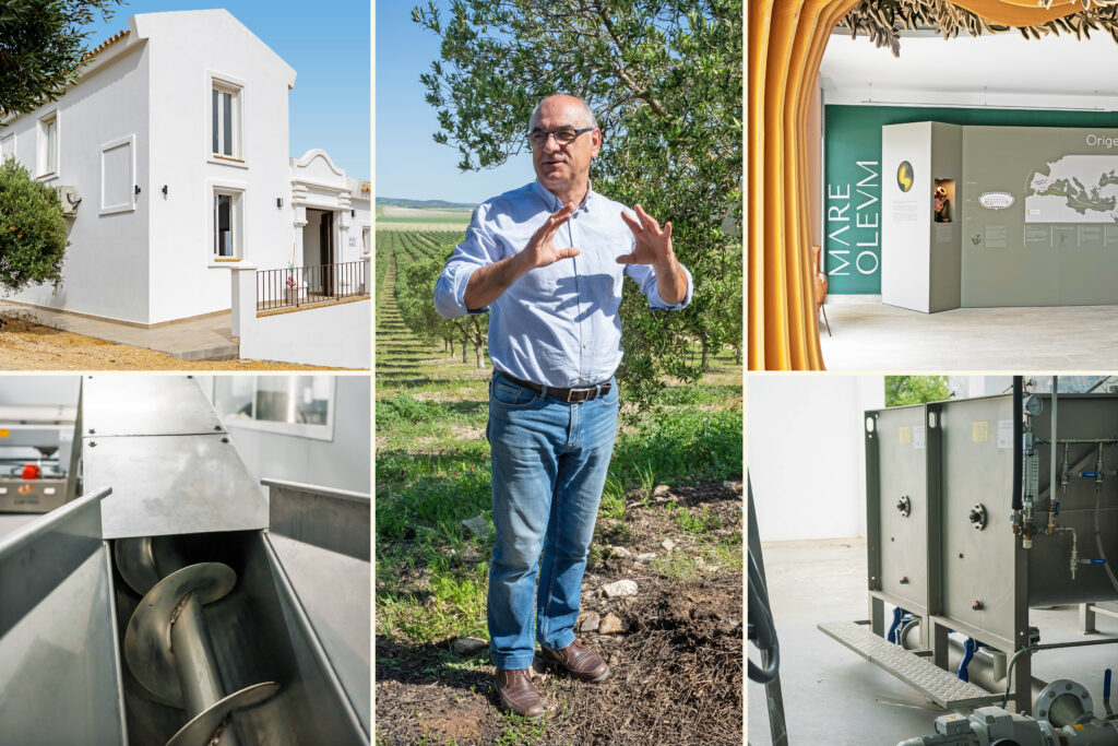 El Comité Europeo de las Regiones pide que se reconozca a escala nacional y regional el papel estratégico de los Grupos de Acción Local Asociación para el Desarrollo Rural de Andalucía Composicion MARE OLEUM