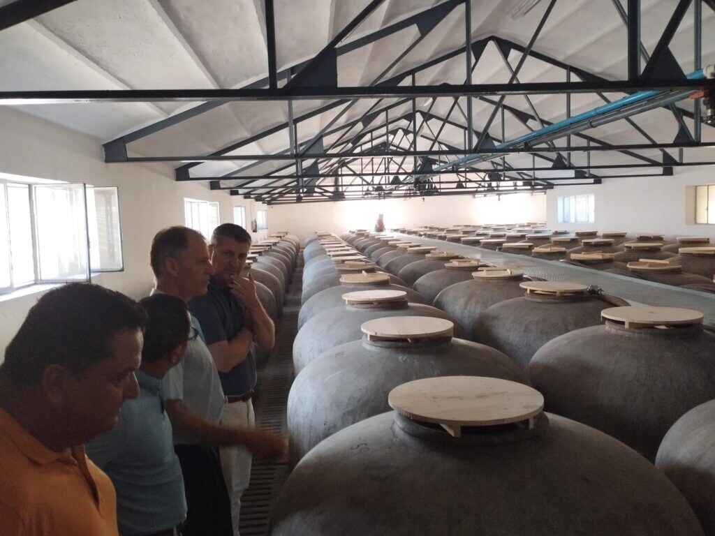 gdr proyectosmodernizacion5