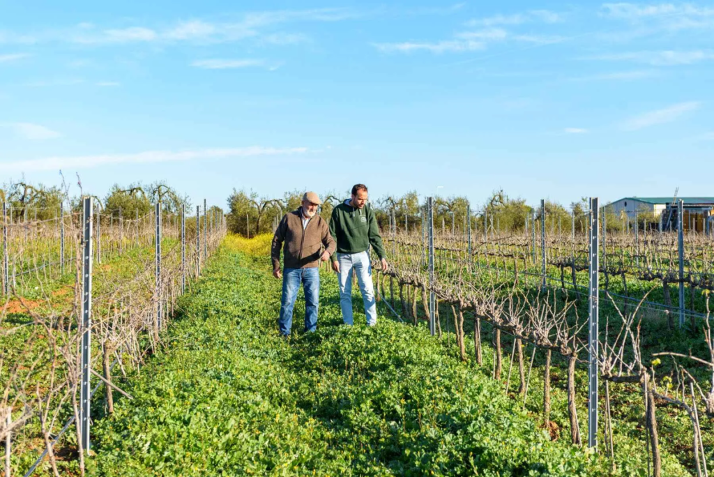 Asociación para el Desarrollo Rural de Andalucía bodegas zarco 2